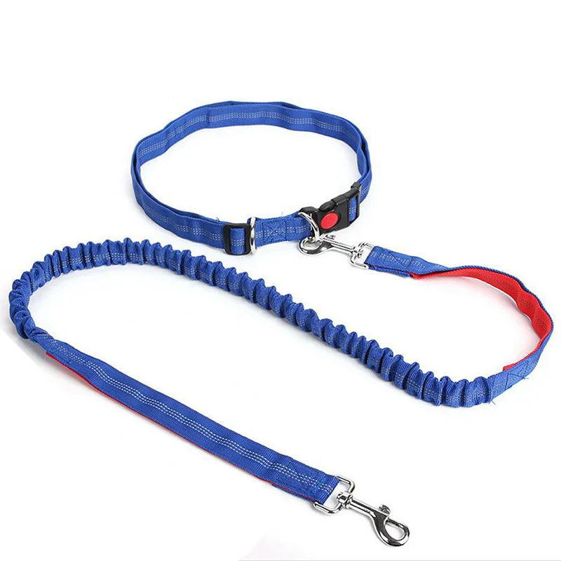 Hand Free Dog Leash Adjustable