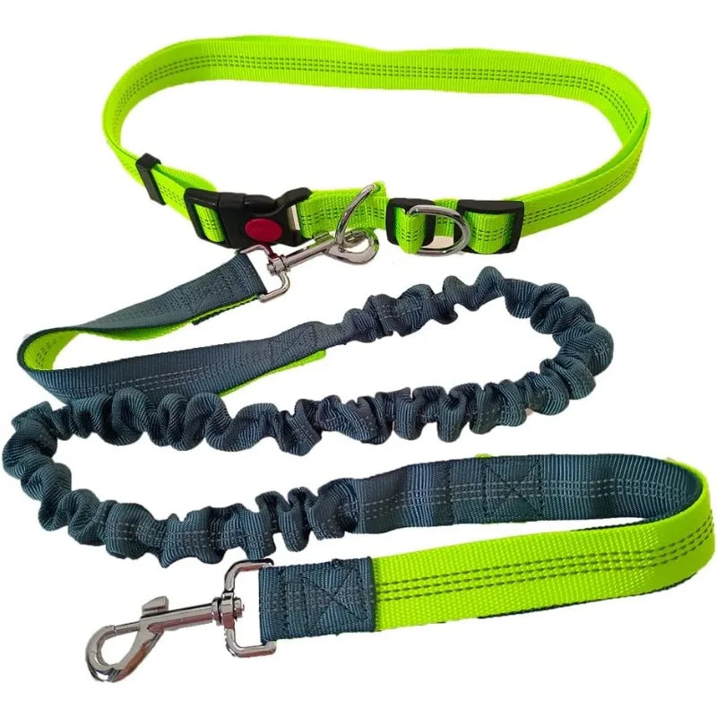 Hand Free Dog Leash Adjustable
