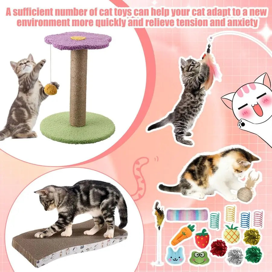 Kitten Starter Kit for Indoor Cats