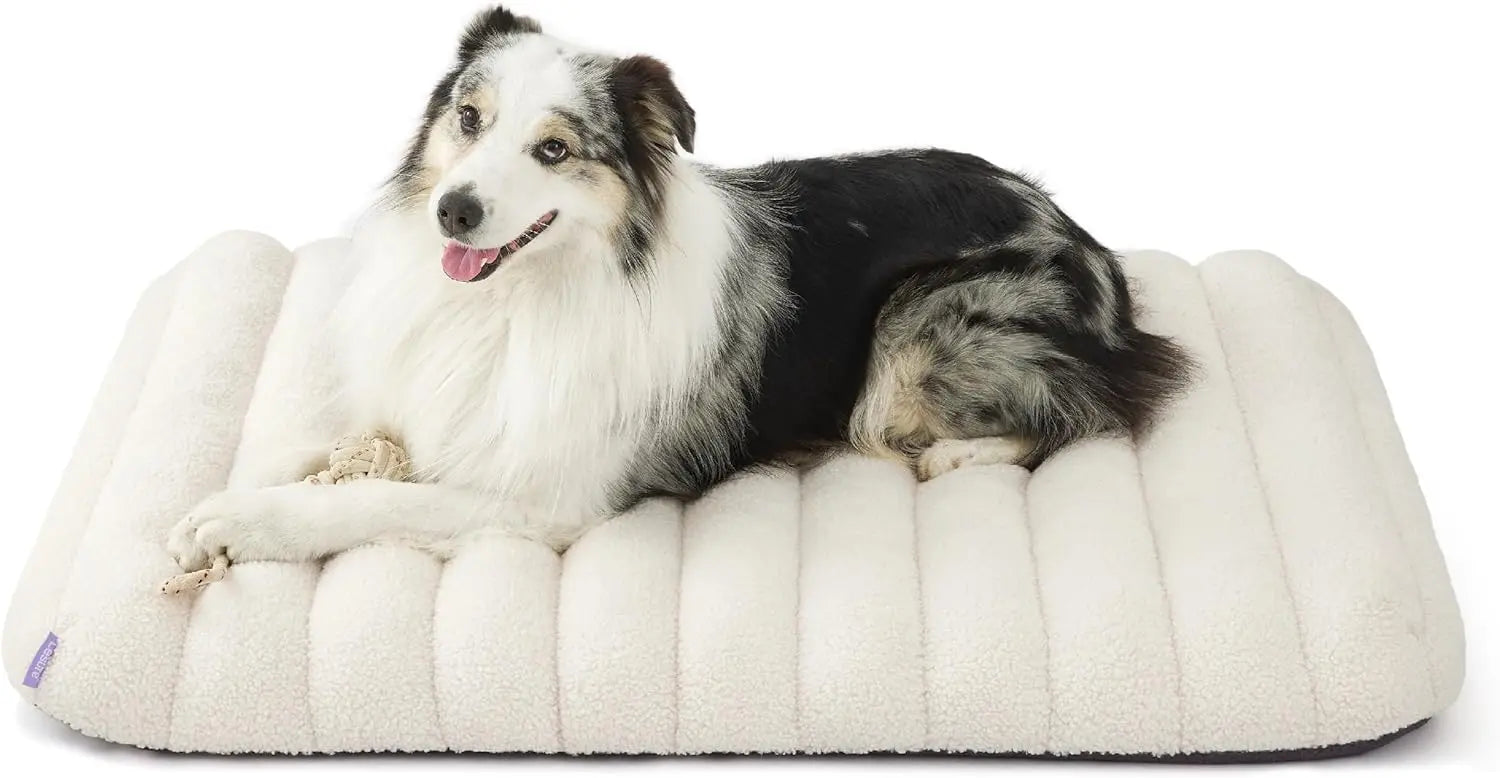 Cute Orthopedic Dog Bed Large, Waterproof Pet Mat with Removable Washable Cover, Thick Foam for Indoor Use (36x27, Cream)
