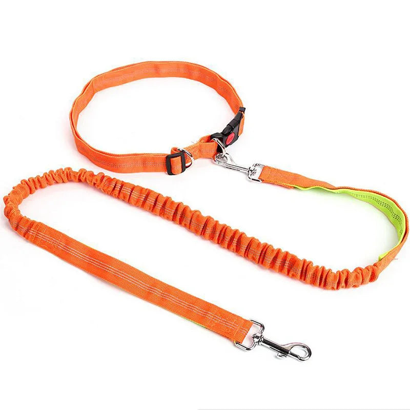 Hand Free Dog Leash Adjustable
