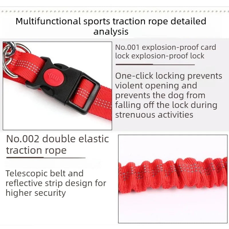 Hand Free Dog Leash Adjustable