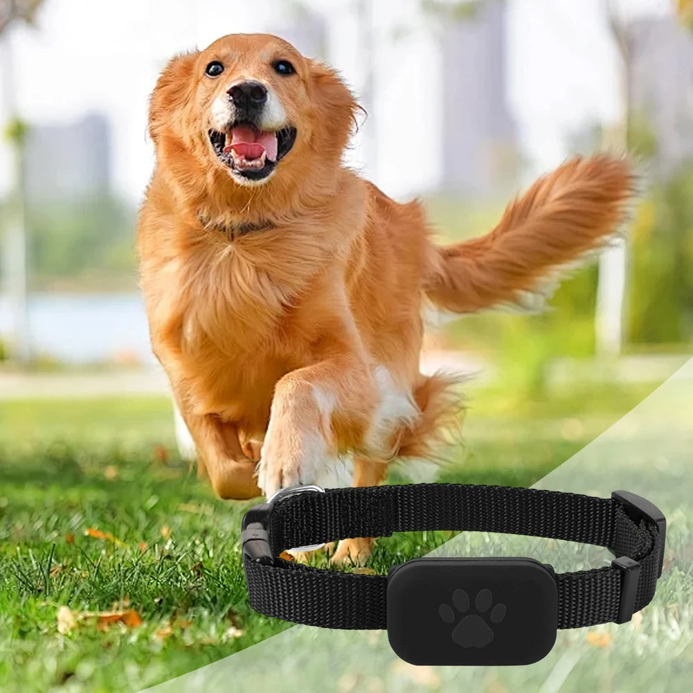 Pet GPS Tracker with Adjustable Collar