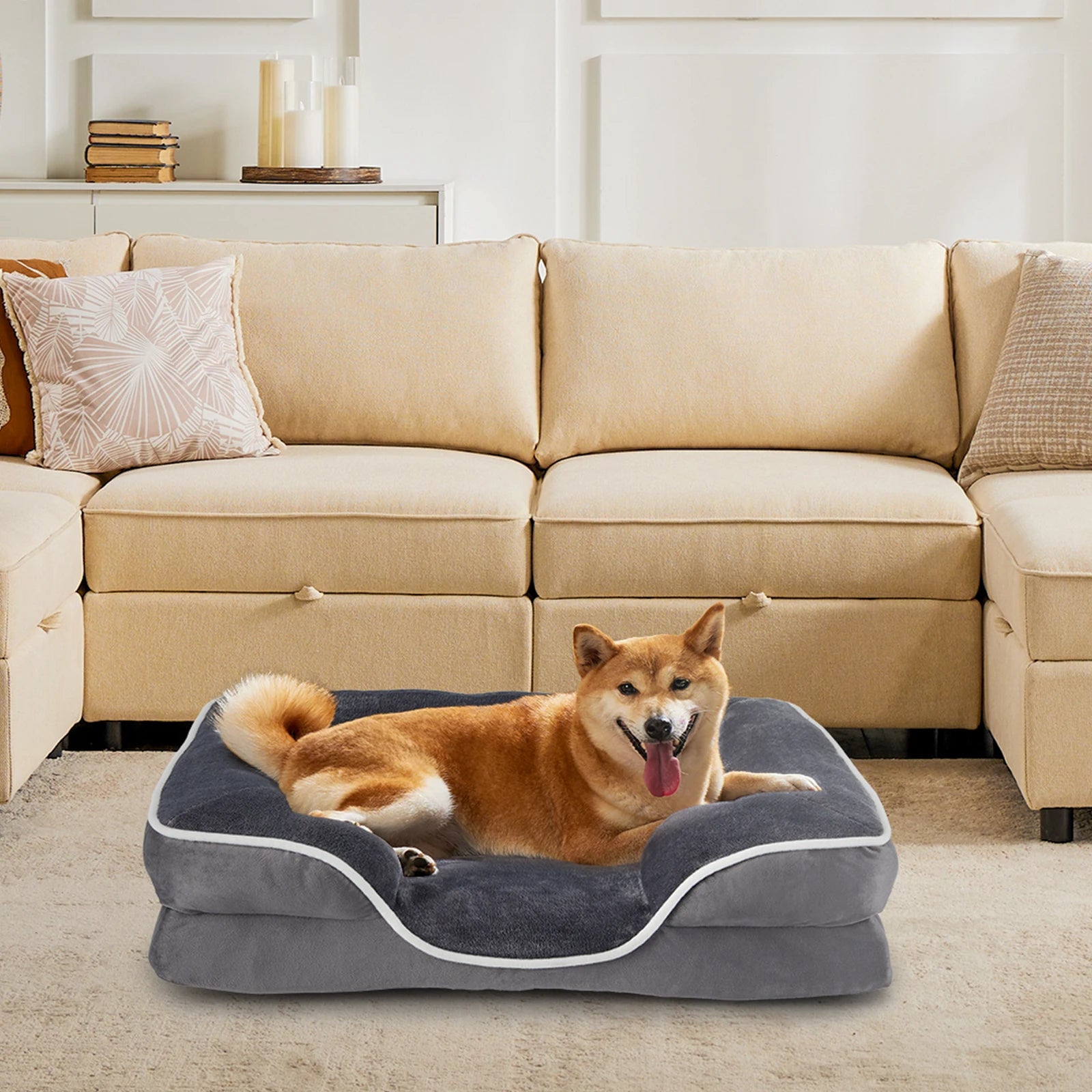 Orthopedic Dog Bed Memory Foam Pet Bed for Small Dogs & Cats with Washable Removable Cover Non-Slip Base Waterproof Liner