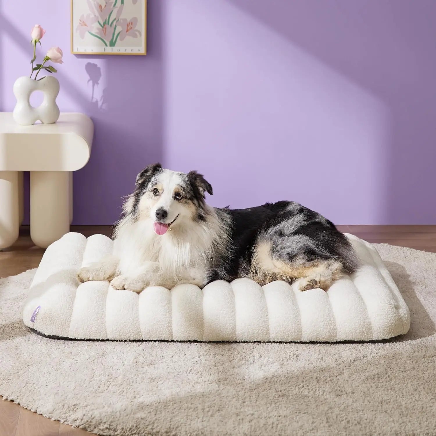 Cute Orthopedic Dog Bed Large, Waterproof Pet Mat with Removable Washable Cover, Thick Foam for Indoor Use (36x27, Cream)