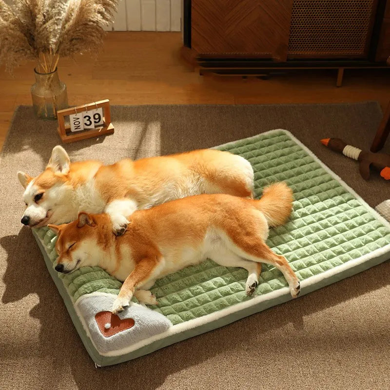 Orthopedic Pet Bed