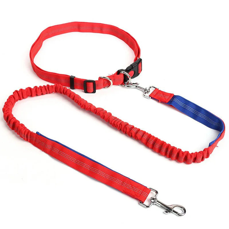 Hand Free Dog Leash Adjustable
