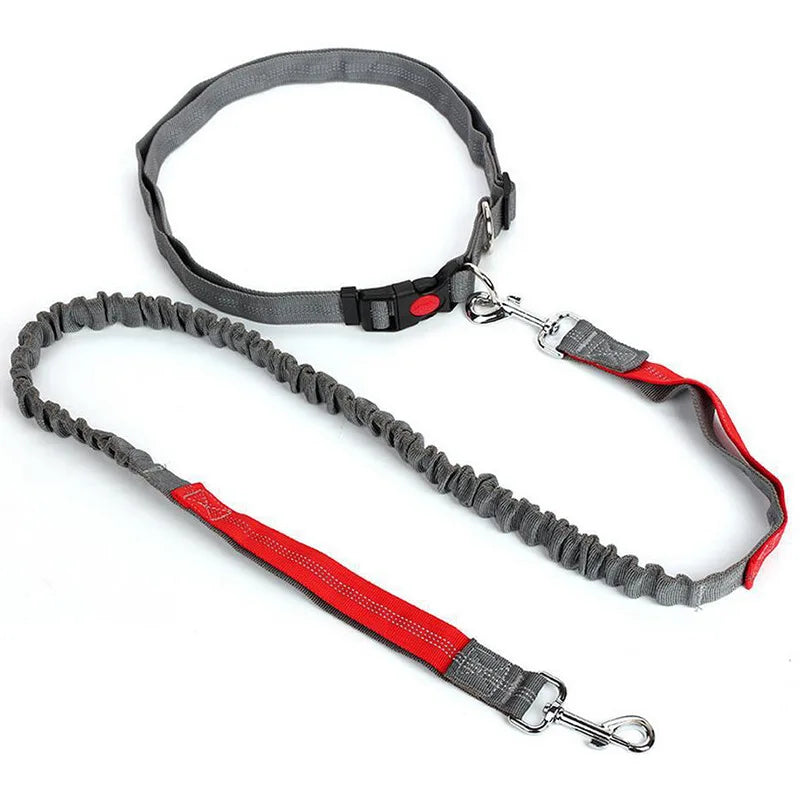 Hand Free Dog Leash Adjustable