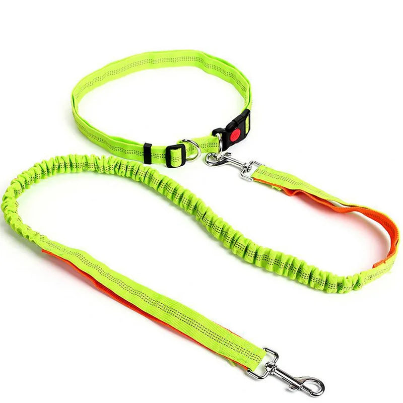 Hand Free Dog Leash Adjustable