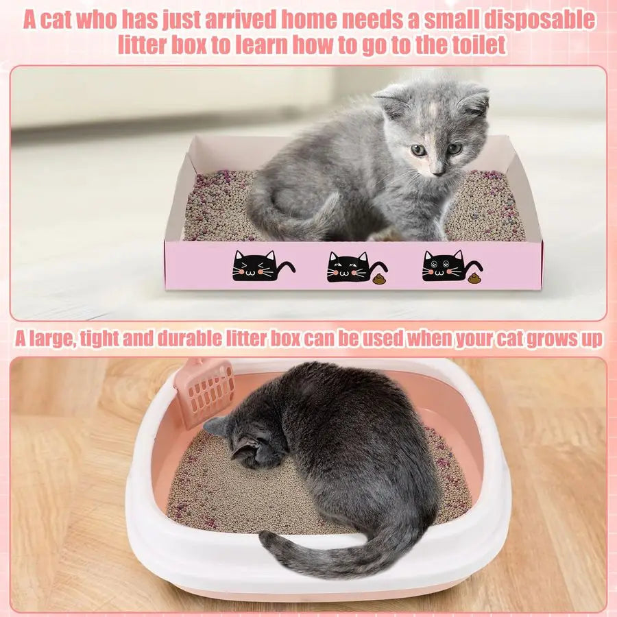 Kitten Starter Kit for Indoor Cats