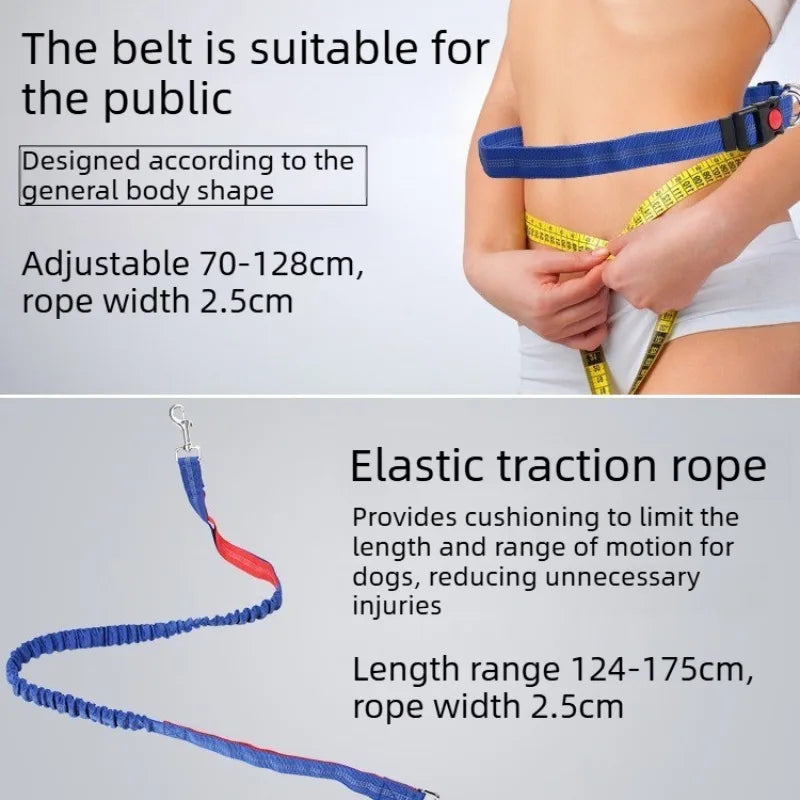 Hand Free Dog Leash Adjustable