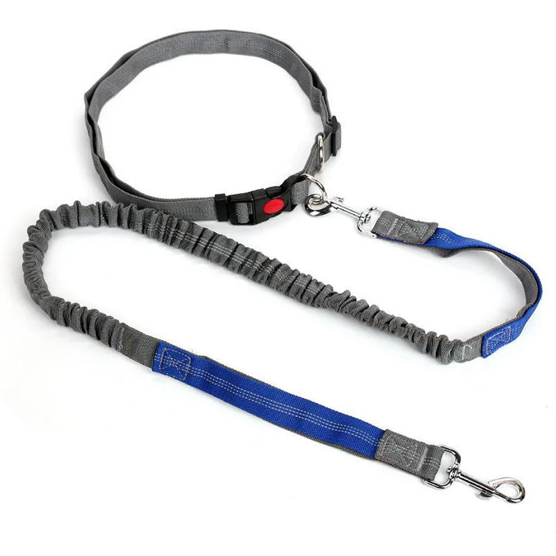 Hand Free Dog Leash Adjustable