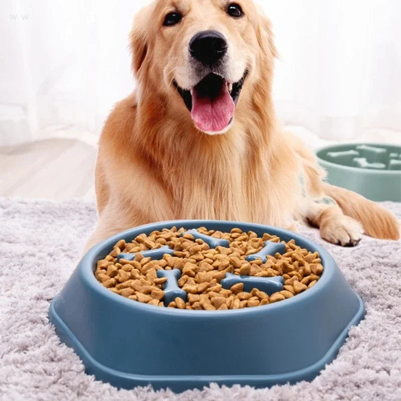 Pet Slow Food Bowl Anti-choking Feeder