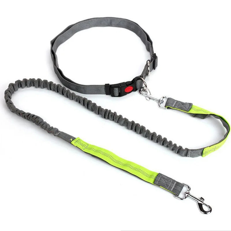 Hand Free Dog Leash Adjustable