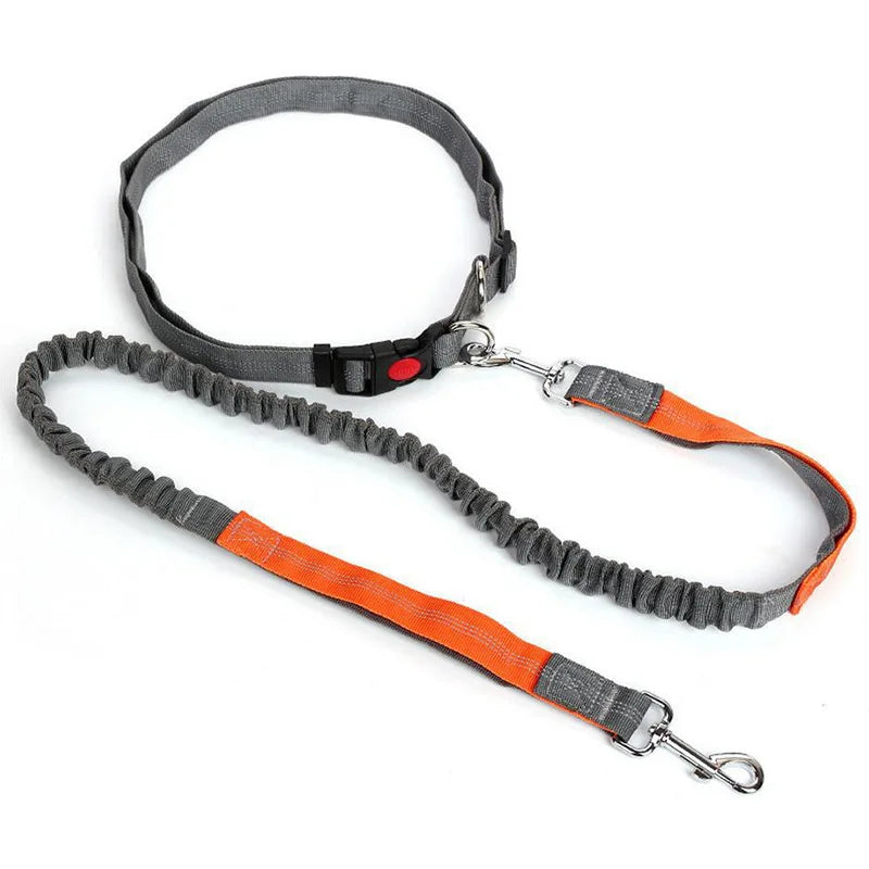 Hand Free Dog Leash Adjustable